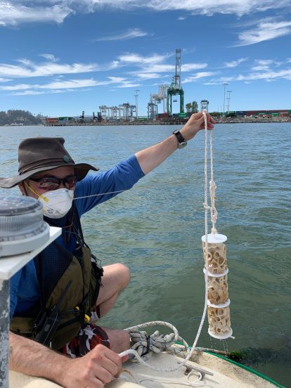 Coral Carbonate 3D-printed units by Objects and Ideograms