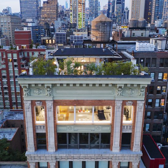 FlatIron Aerie by Shelton Mindel