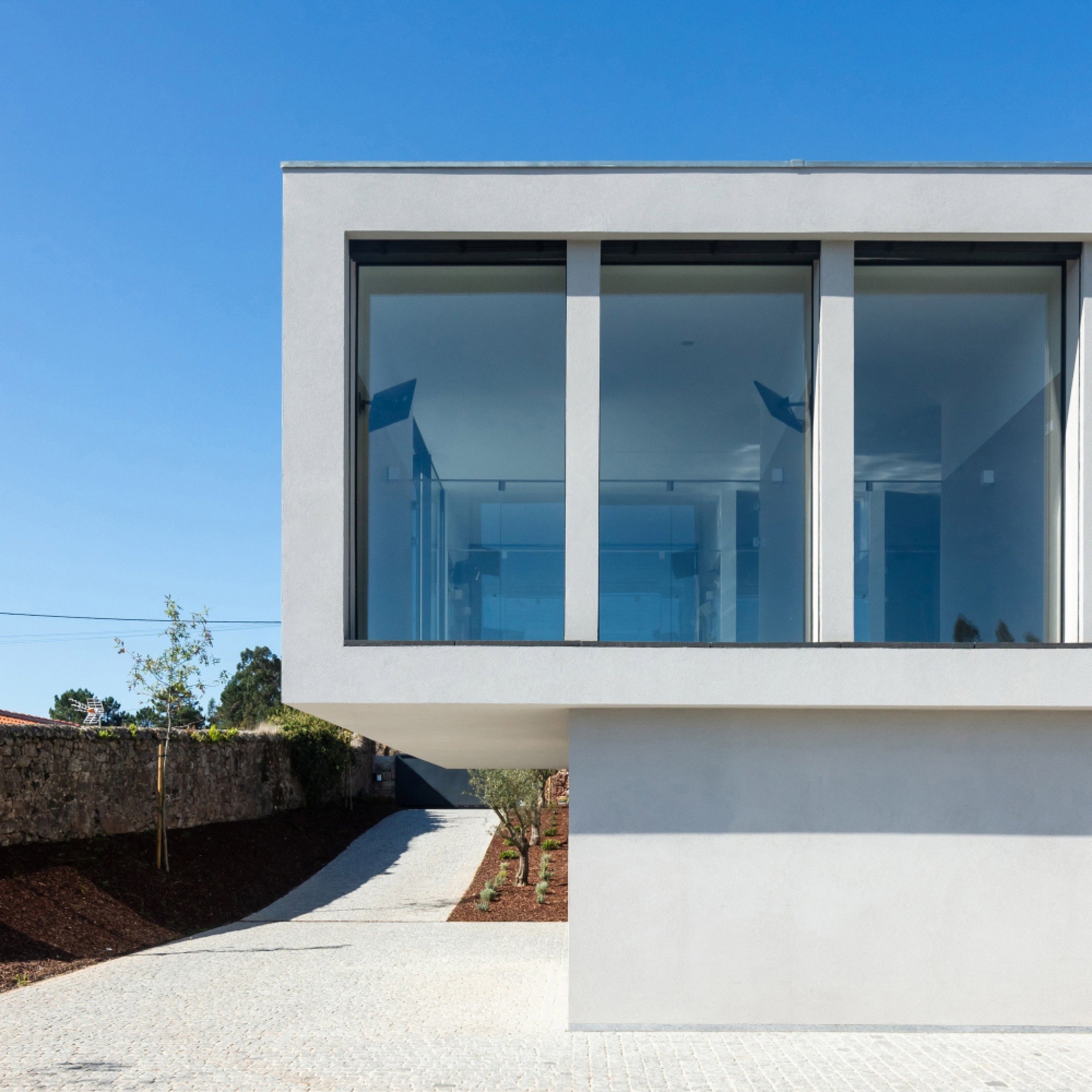 Canine & Feline Hotel by Raulino Silva Architect