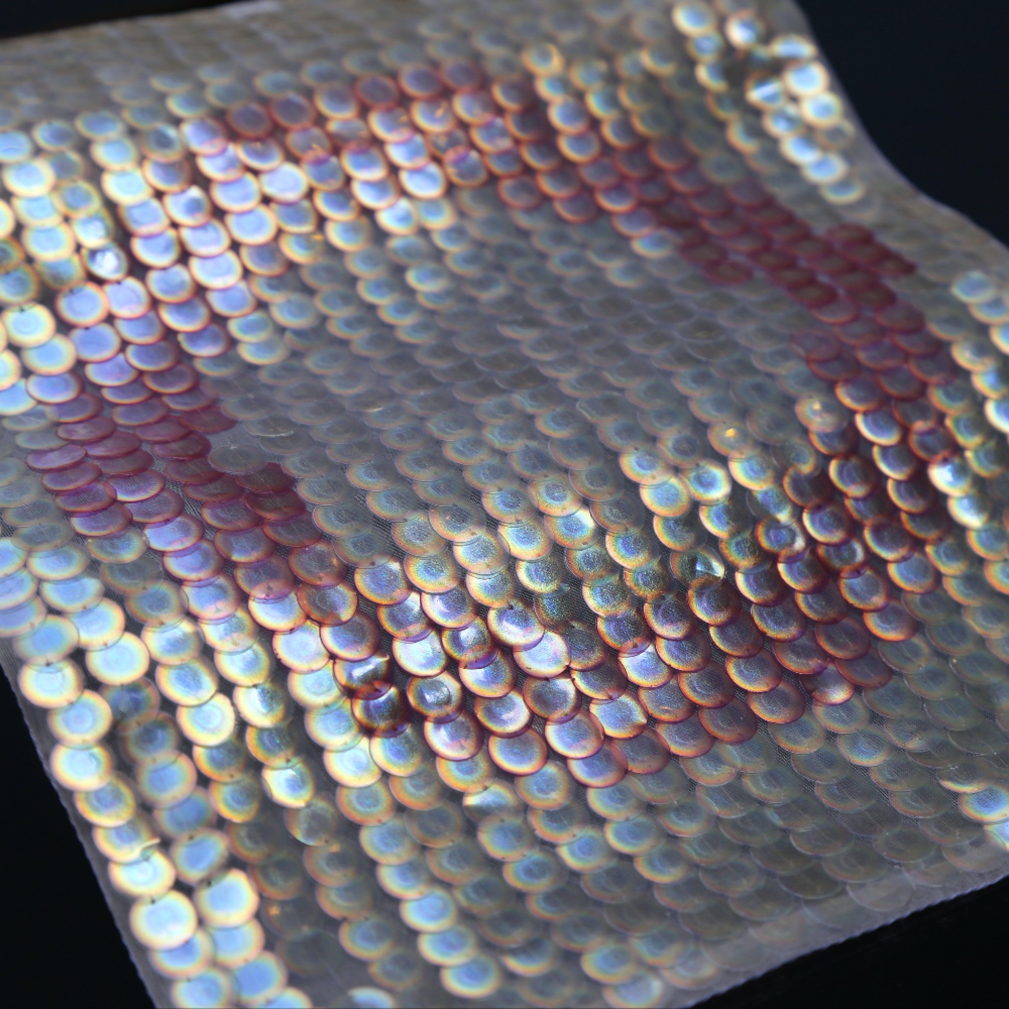 Bio Iridescent Sequin by Elissa Brunato