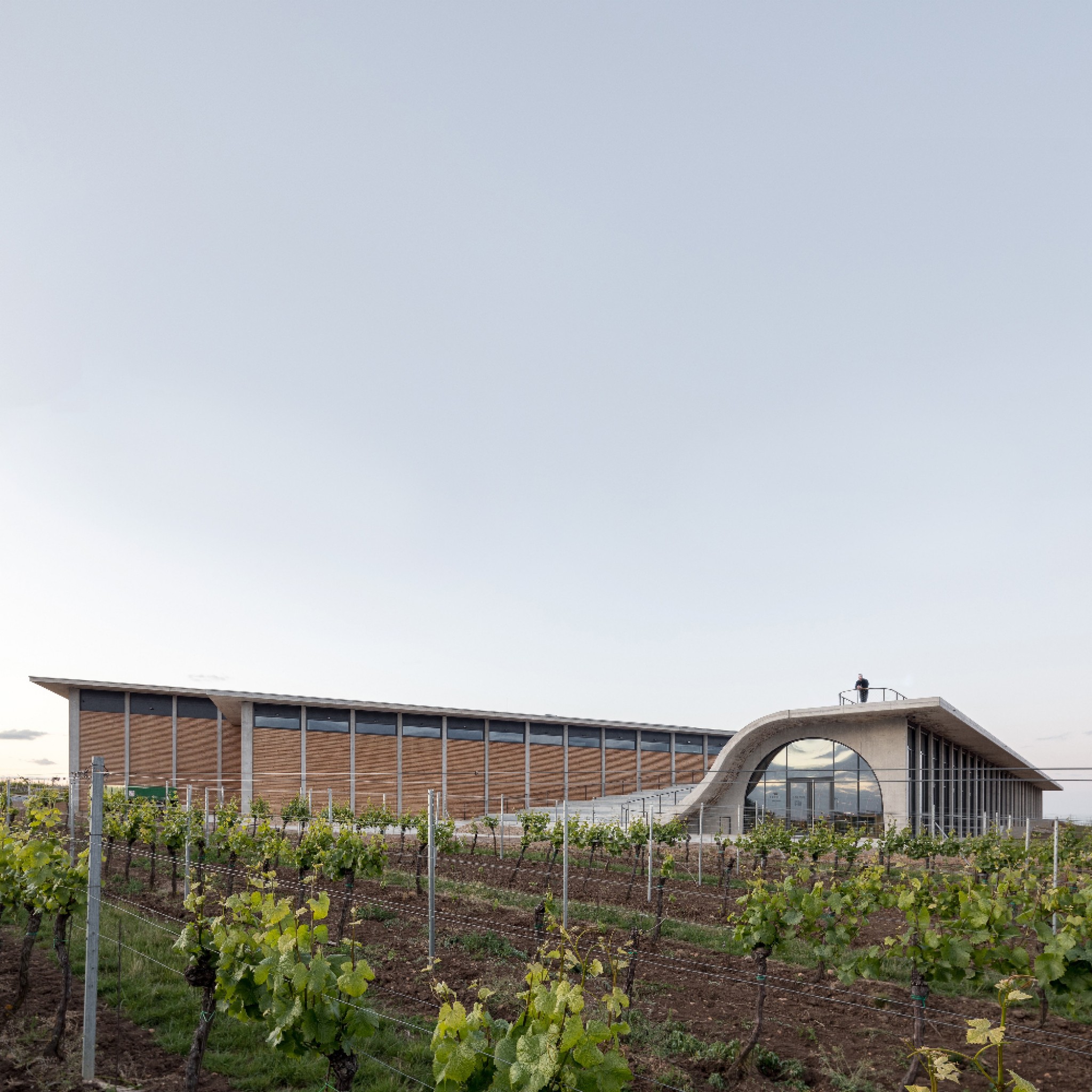 Lahofer Winery by Chybik + Kristof