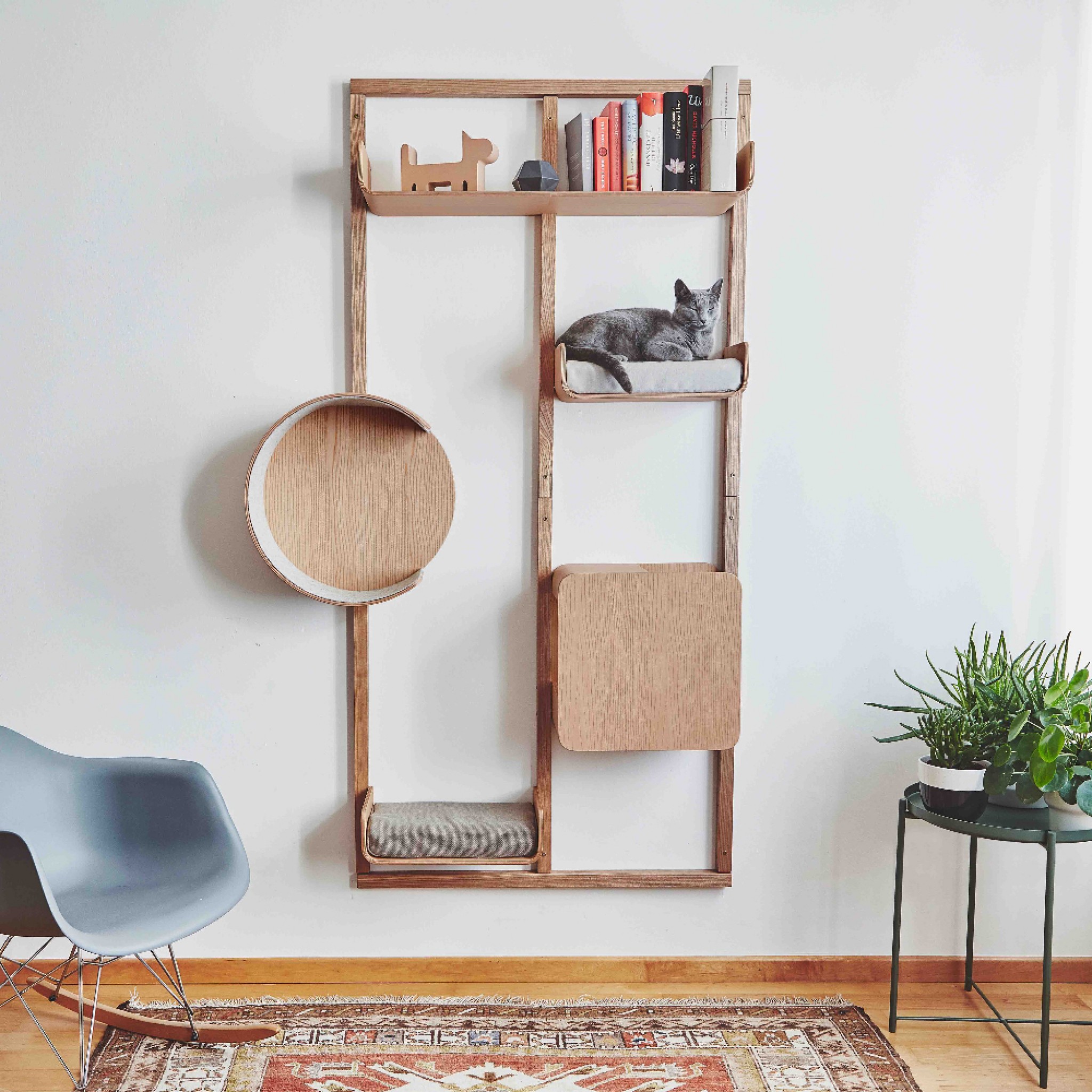 Alto Cat Wall Climber