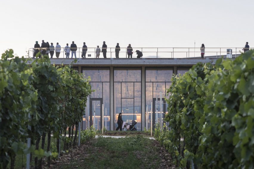 Lahofer Winery by Chybik + Kristof