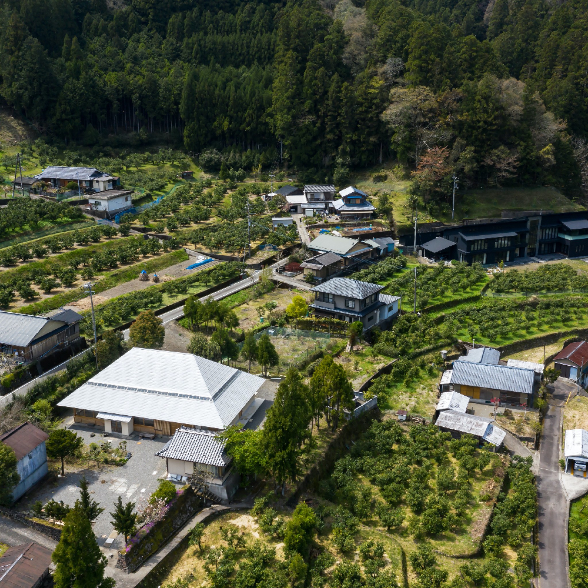 House in Kito by Kosuke Bando Architects