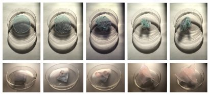 Scarlett Yang creates dress from biomaterials that can decompose in hours