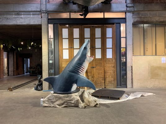 Antepavilion Sharks! by Jamie Shorten