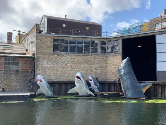 Antepavilion Sharks! by Jamie Shorten