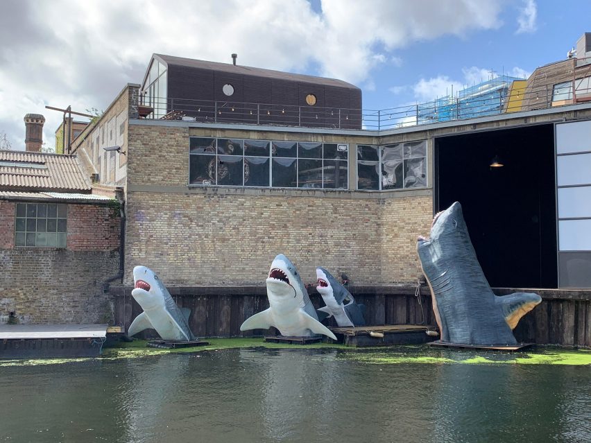 Antepavilion Sharks! by Jamie Shorten
