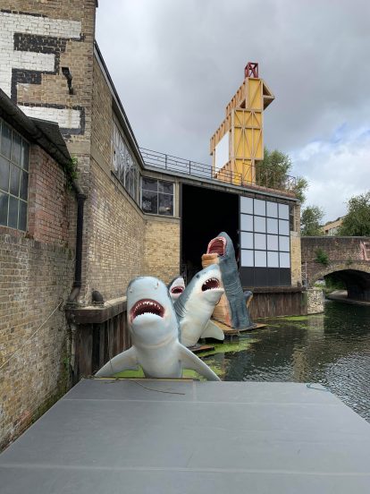 Antepavilion Sharks! by Jamie Shorten
