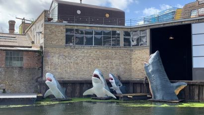 Antepavilion Sharks! by Jamie Shorten