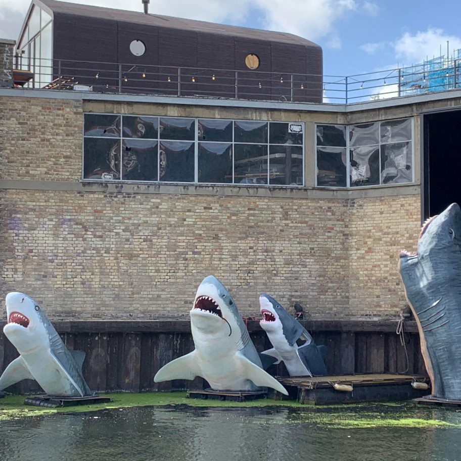 Antepavilion Sharks! by Jamie Shorten
