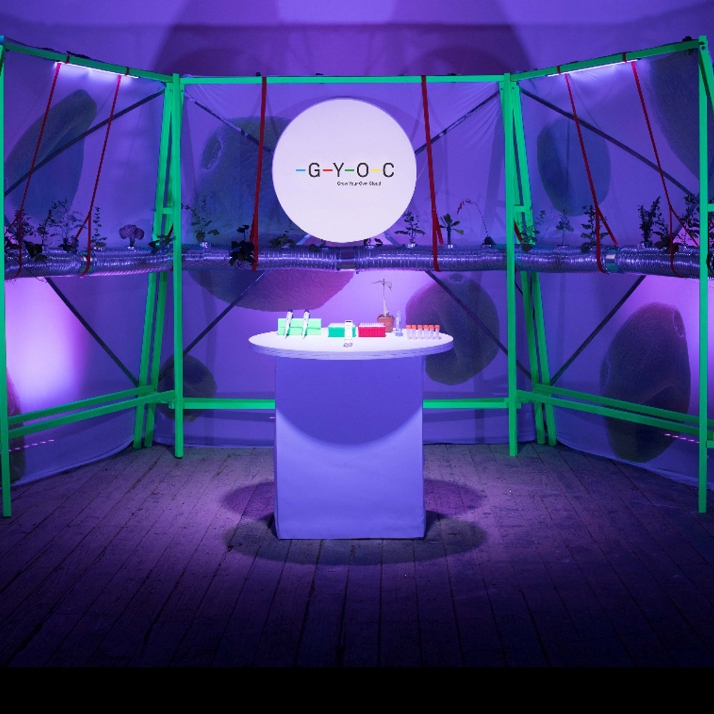 The Data Garden