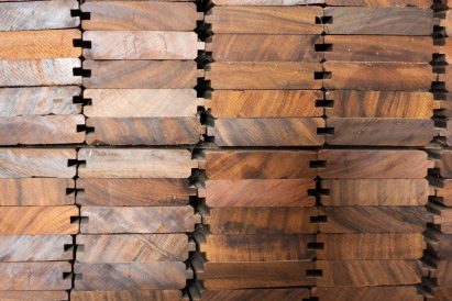Timber Trade Federation's Conversations about Climate Change competition