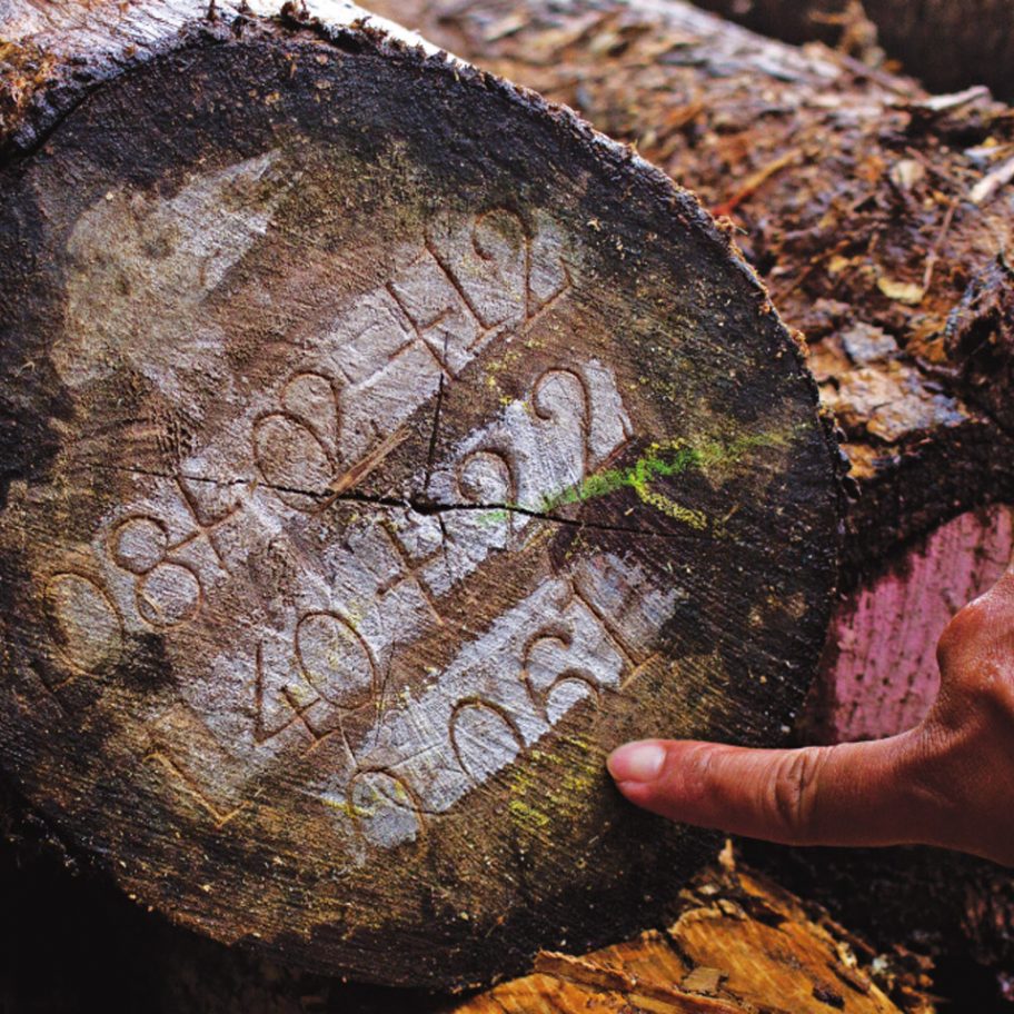 Timber Trade Federation's Conversations about Climate Change competition