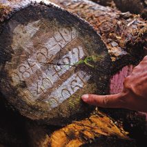 Timber Trade Federation's Conversations about Climate Change competition