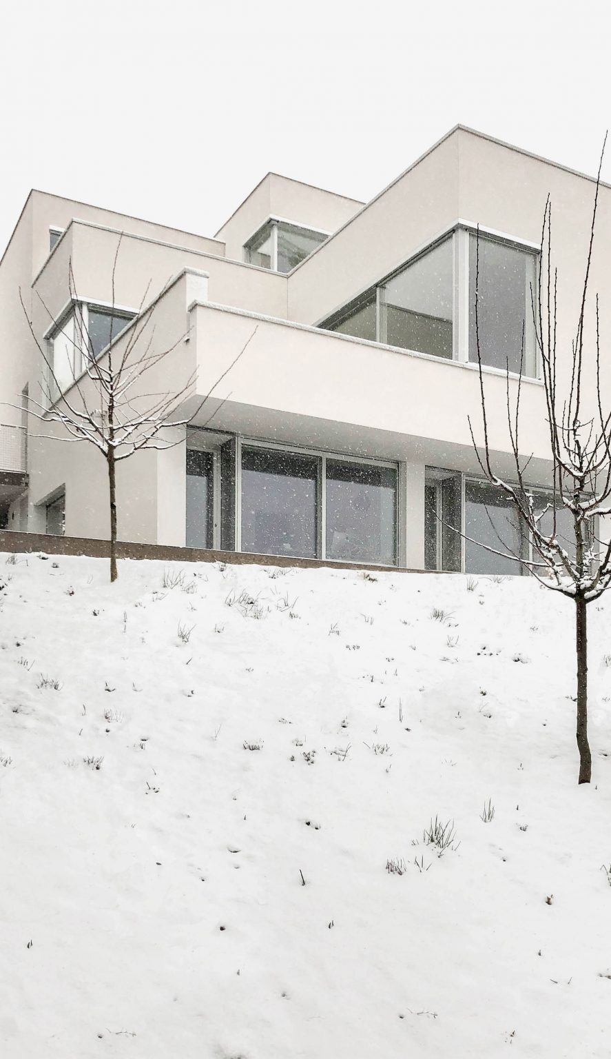 TS-H_01 house in Switzerland designed by Tom Strala