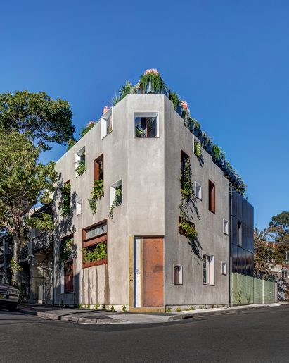 Welcome to the Jungle House renovation in Sydney, Australia, by CplusC Architectural Workshop