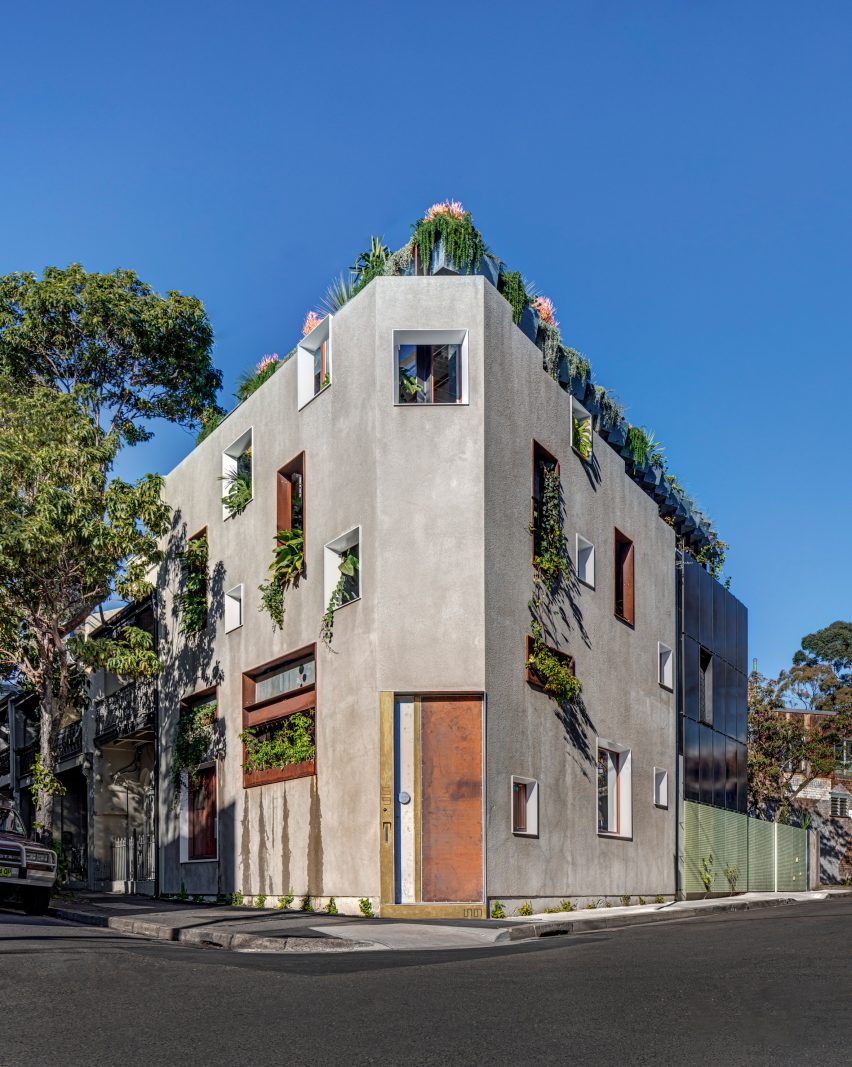Welcome to the Jungle House renovation in Sydney, Australia, by CplusC Architectural Workshop