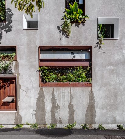 Welcome to the Jungle House renovation in Sydney, Australia, by CplusC Architectural Workshop