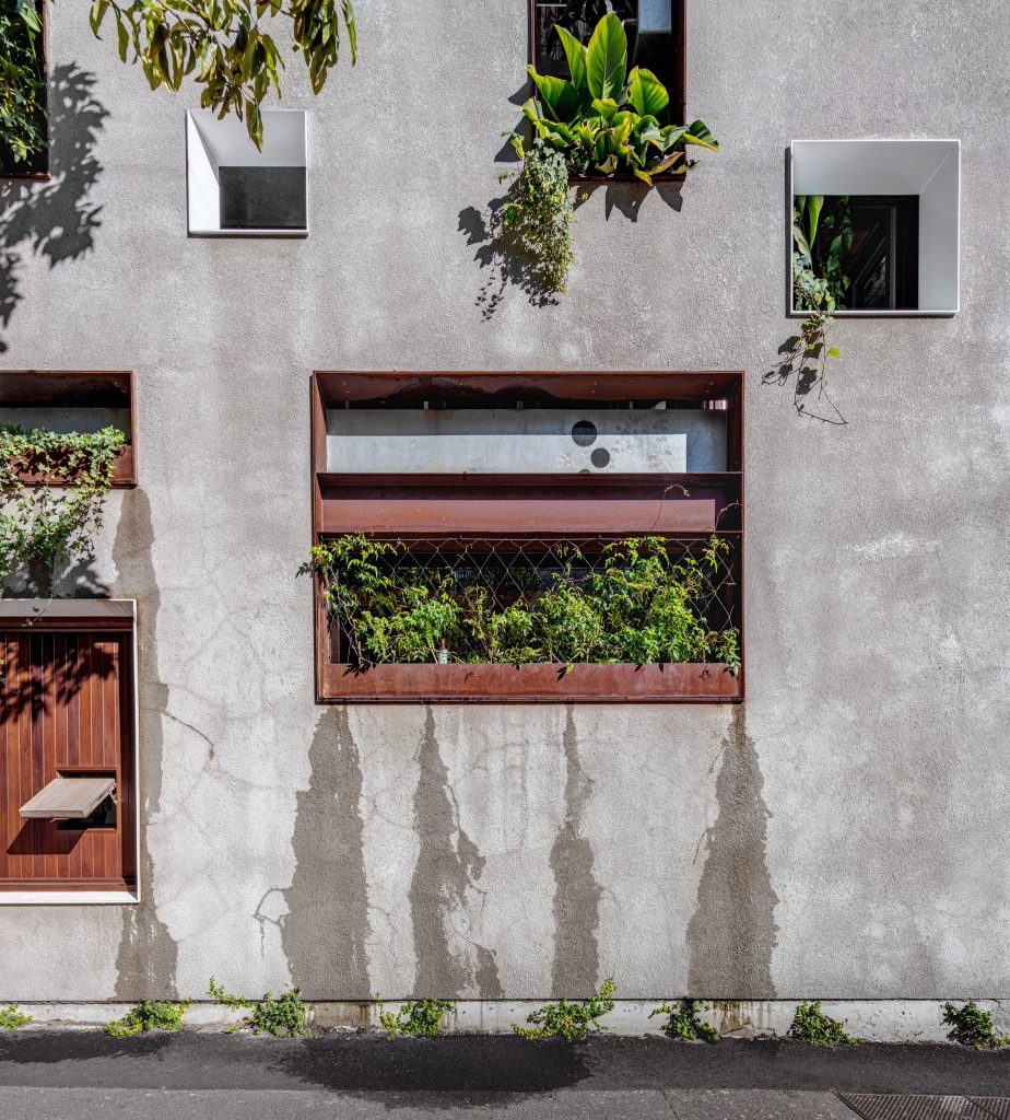 Welcome to the Jungle House renovation in Sydney, Australia, by CplusC Architectural Workshop