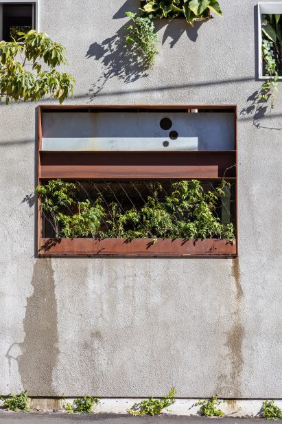 Welcome to the Jungle House renovation in Sydney, Australia, by CplusC Architectural Workshop