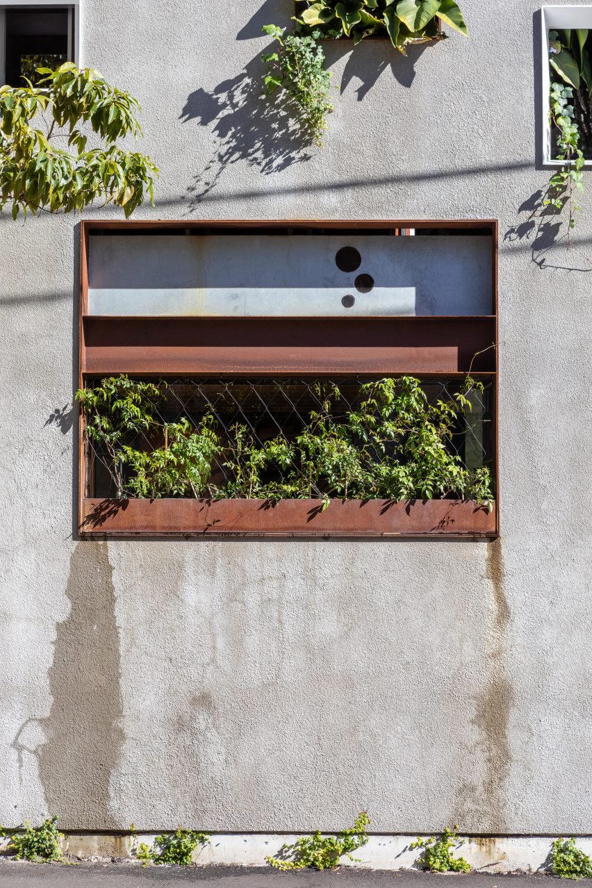 Welcome to the Jungle House renovation in Sydney, Australia, by CplusC Architectural Workshop