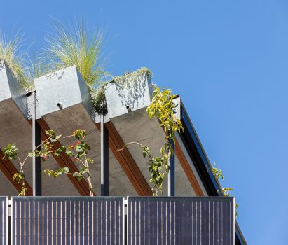 Welcome to the Jungle House renovation in Sydney, Australia, by CplusC Architectural Workshop