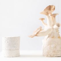 Amen candles are shipped in "carbon negative" mycelium packaging
