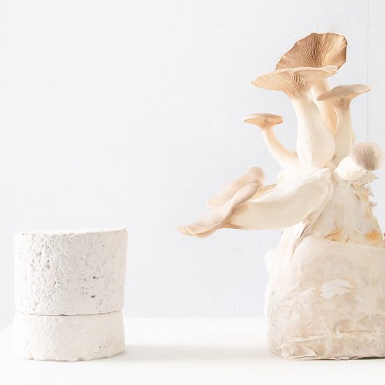 Amen candles are shipped in "carbon negative" mycelium packaging