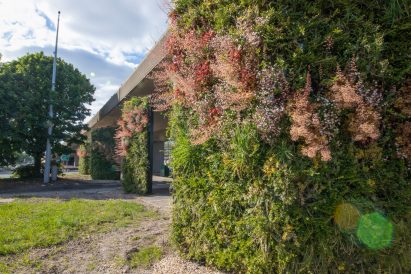 Millbrook Roundabout green wall by Biotecture
