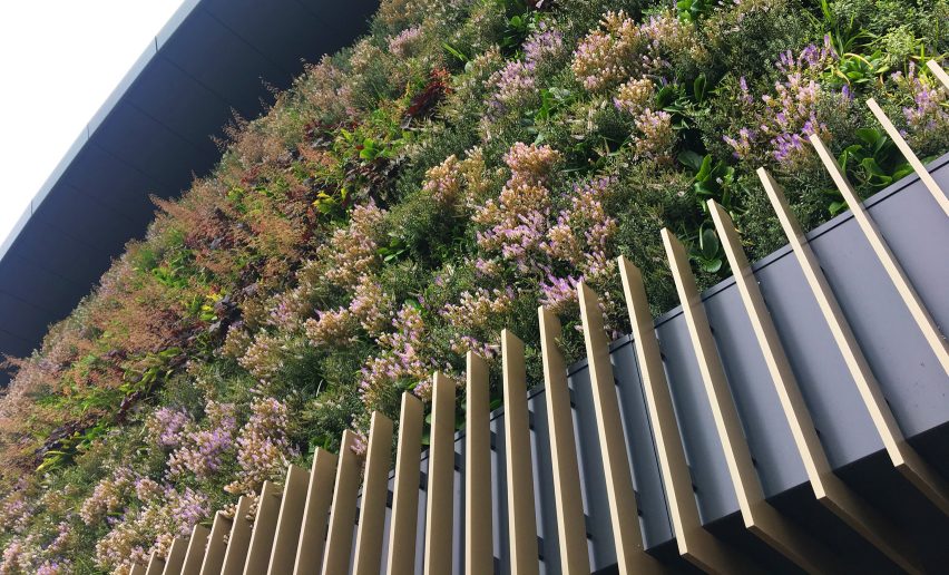 Green wall at The No. 1 Court in Wimbledon