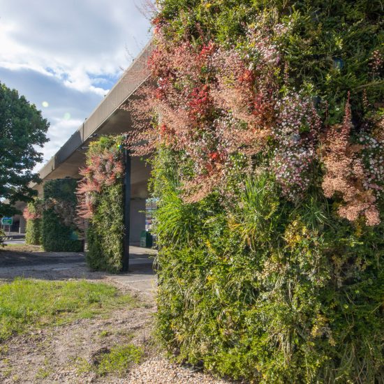 Millbrook Roundabout green wall by Biotecture