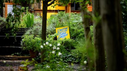 Stills from Open House London's Dalston Curve Garden short film