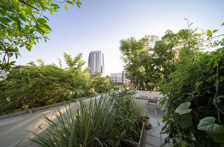 Green roofs of the Forest House in Bangkok
