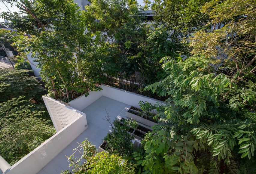 Green roofs of the Forest House in Bangkok