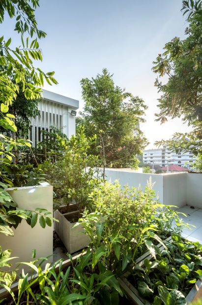Green roofs of the Forest House in Bangkok