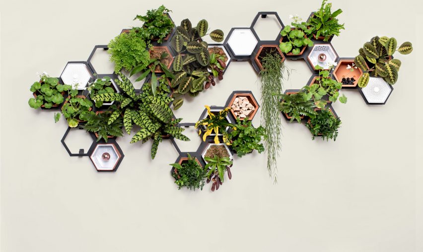 Horticus creates modular indoor living wall