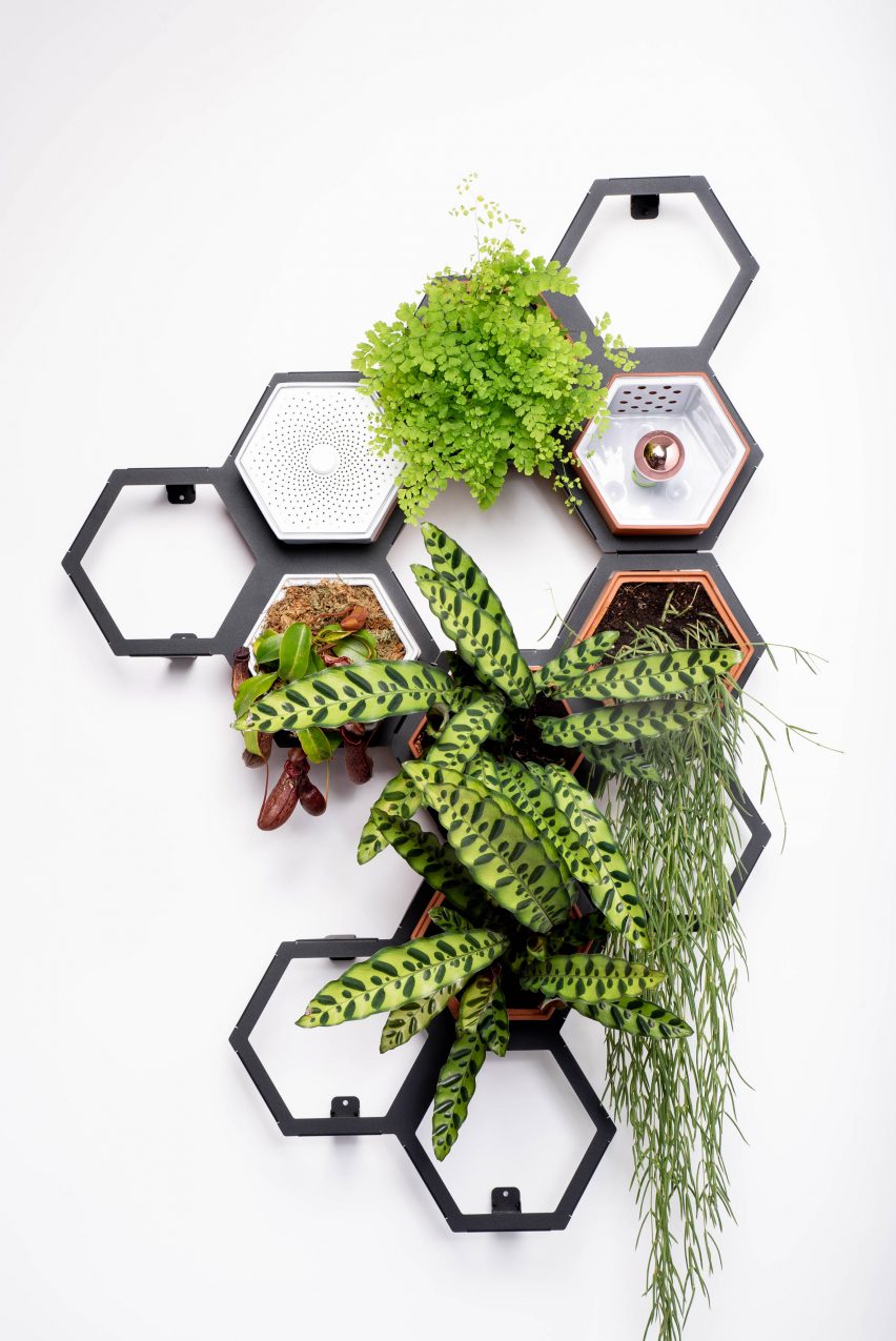 Horticus creates modular indoor living wall