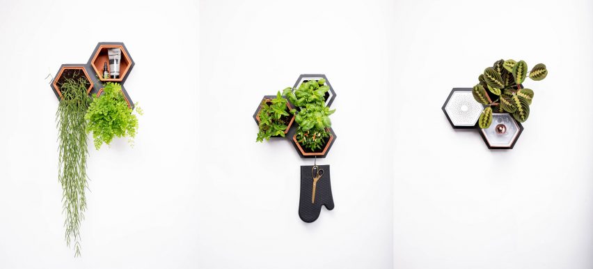 Horticus creates modular indoor living wall