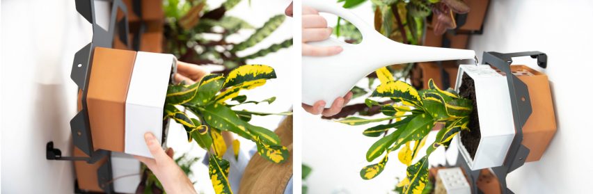 Horticus creates modular indoor living wall