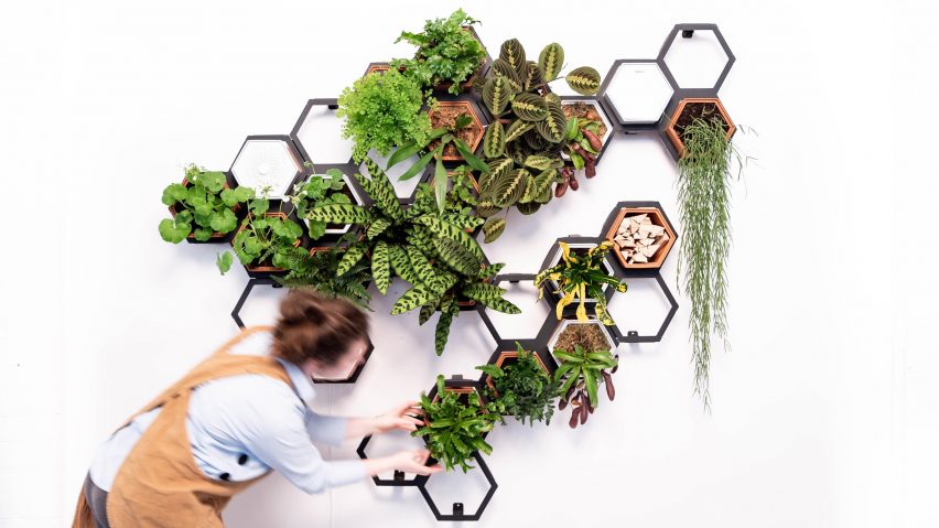 Horticus creates modular indoor living wall