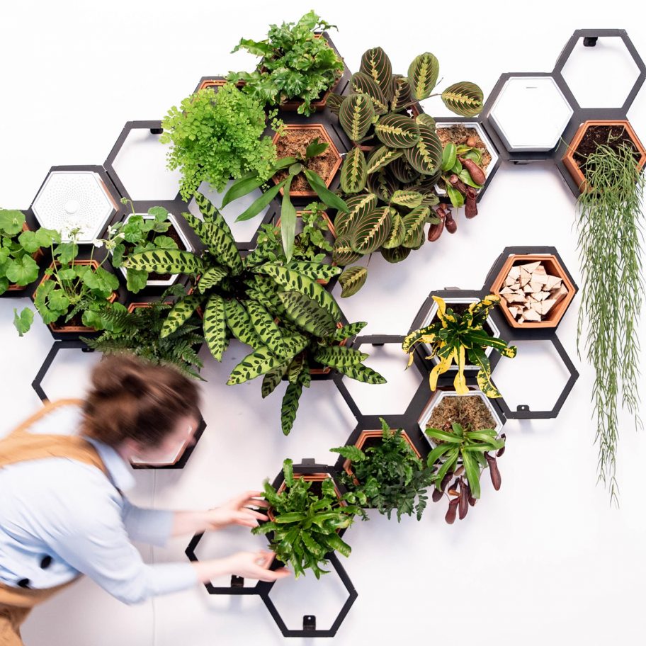 Horticus creates modular indoor living wall