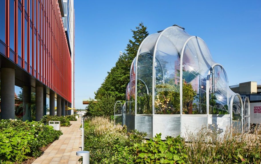 The Hothouse