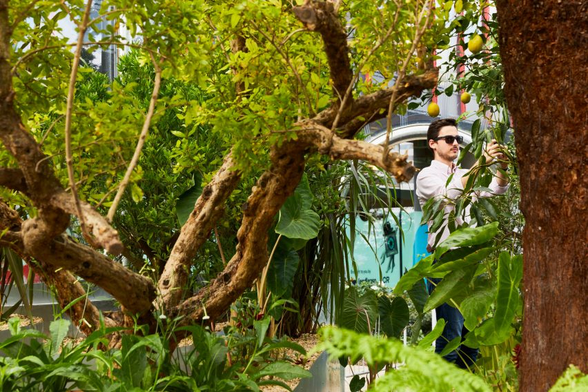 Hothouse by Studio Weave in Stratford as part of London Design Festival