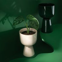 Nappula from Iittala for Dezeen x Planted
