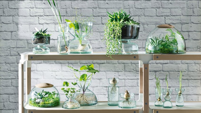 LSA International's Canopy collection, made with the Eden Project
