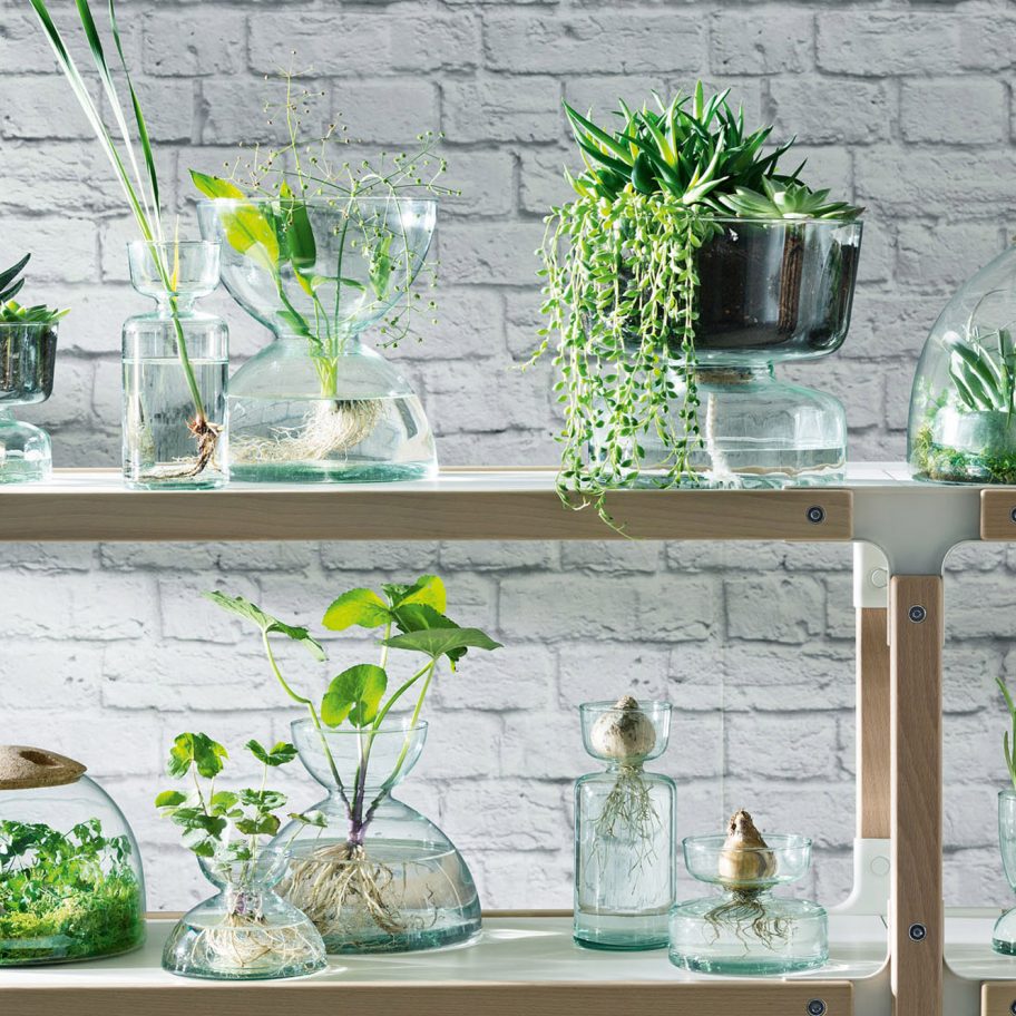 LSA International's Canopy collection, made with the Eden Project
