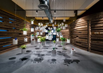 Decoration in Walls of of Office in Cardboard by Studio VDGA in Pune, India