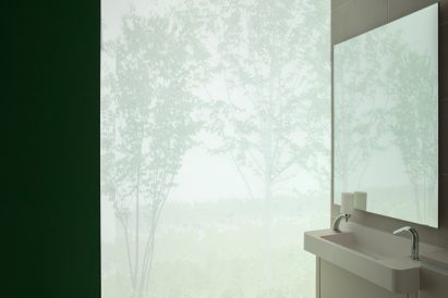 Froster glass toilet cubicle