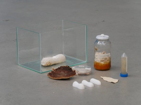 Bob Hendrikx designs Living Cocoon coffin from mushroom mycelium